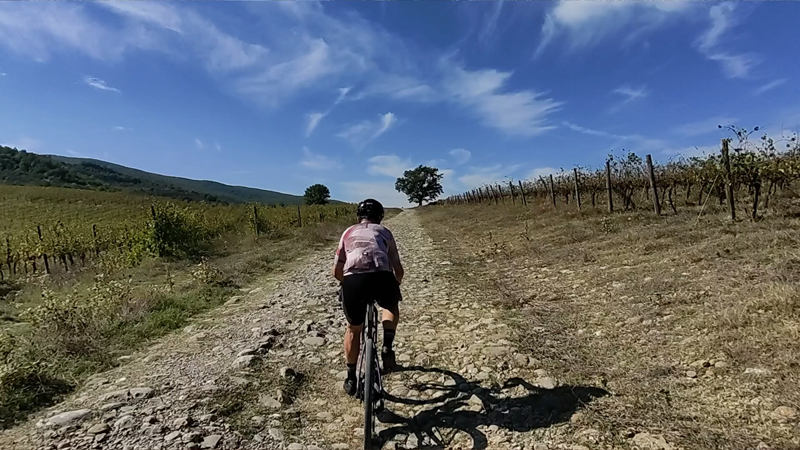 immagine notizia (ptn) Turismo, pronto a partire Umbria Green Route, il nuovo percorso ciclabile fra Montecchio, Orvieto e Baschi: venerdì 6 marzo la presentazione a Tenaglie